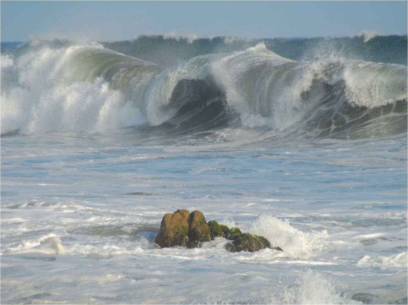 ホテル Angel Del Mar Puerto Ángel エクステリア 写真